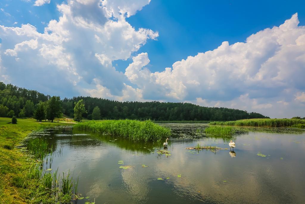Warminska Winnica Barczewo Ngoại thất bức ảnh